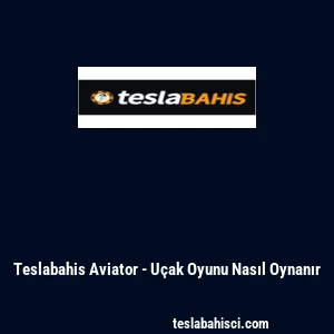 Teslabahis Aviator - Uçak Oyunu Nasıl Oynanır